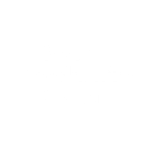 North-Lincolnshire-Council-logo-partner