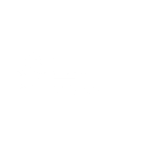 hull-city-council-partner